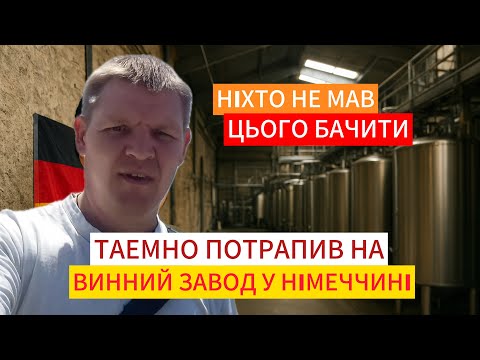 Видео: Що приховують німецькі винороби?!Я ЛЕДВЕ ВИЖИВ ПІСЛЯ ЦЬОГО!