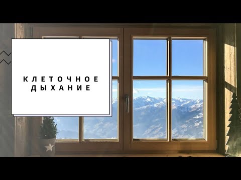 Видео: Клеточное дыхание