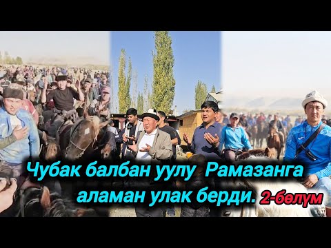 Видео: Кара-Кулжа району Тоготой айылы Чубак балбан уулу Рамазанга чоң аламан улак берди.19.10.25.
