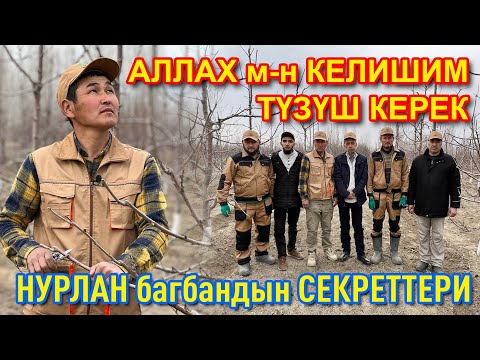 Видео: БАКТАН байлык ТАПКЫЛА  ~  Бардык СЕКРЕТТЕРИН ҮЙРӨНГҮЛӨ  ~  ИНТЕНСИВНЫЙ МЕТОДКО өткүлө