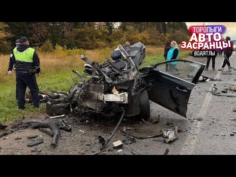 Видео: Слепошарые Диарейщики на Дороге! Сентябрянутые Троропыги и Водятлы ДТП
