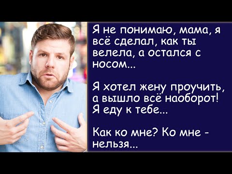 Видео: Как муж жену проучил. История из жизни. Аудиорассказ.