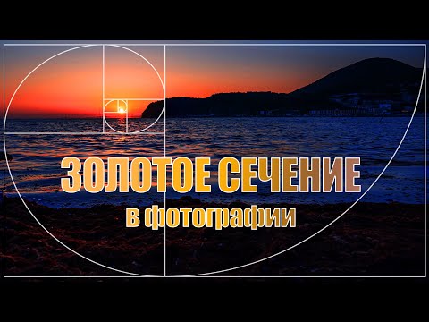 Видео: Числа Фибоначчи. Золотое сечение. Как создать гармонию в кадре