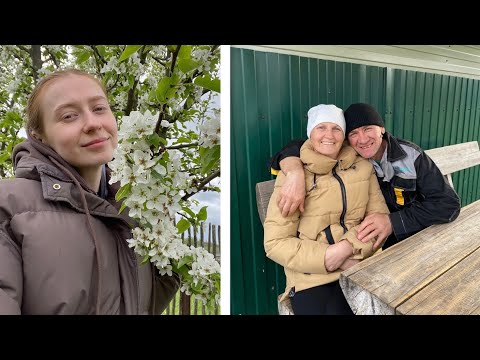 Видео: майские праздники в деревне | семейное древо