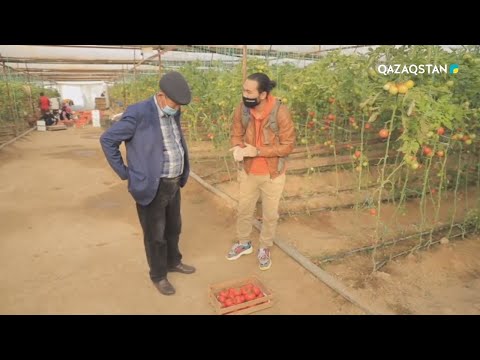 Видео: «АТАМЕКЕН». Түркістан облысының экономикалық дамуы