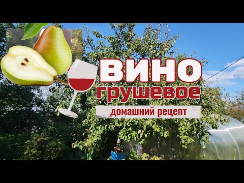 Видео: Вино из груши - получится или нет?