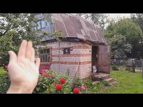 Видео: КУПИЛА ДАЧУ ЗА 100тыс.руб! Обзор участка, дома и посадок