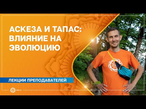 Видео: Аскеза и тапас: влияние на эволюцию. Олег Васильев