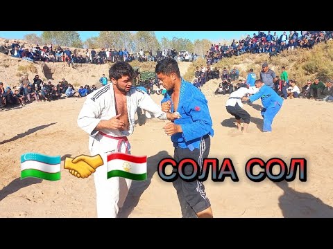 Видео: БОБОТОГ ТОЛТУКАЙДА ТУЙ КУРАШИ. 3-dekabr, 2023