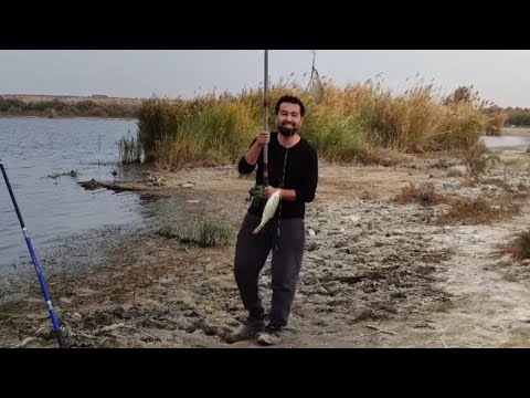 Видео: Рыбалка #отдих #баликови #природныепейзажи #rec #fishing #2025 