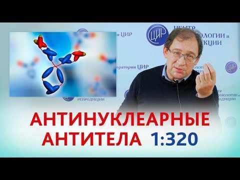 Видео: Антинуклеарные антитела 1:320. ЧТО ДЕЛАТЬ? Отвечает доктор Гузов.