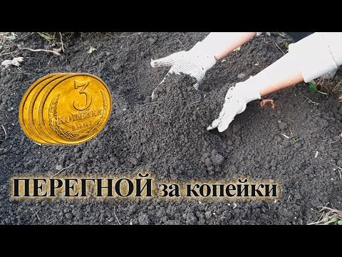 Видео: ПЕРЕГНОЙ за КОПЕЙКИ КРУГЛЫЙ ГОД! Растительный перегной вместо навоза!