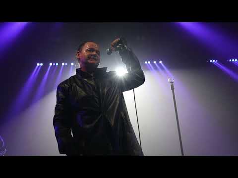 Видео: ПТВП - Холодные стены зимы (04.04.25)