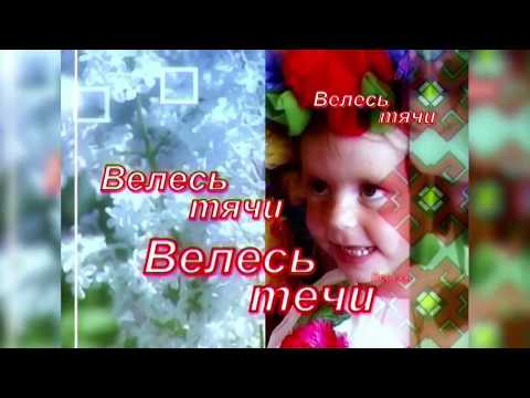 Видео: Велесь течи. с. Селищи Ичалковского района