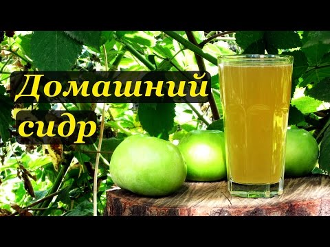 Видео: Домашний сидр, рецепт приготовления с дегустацией