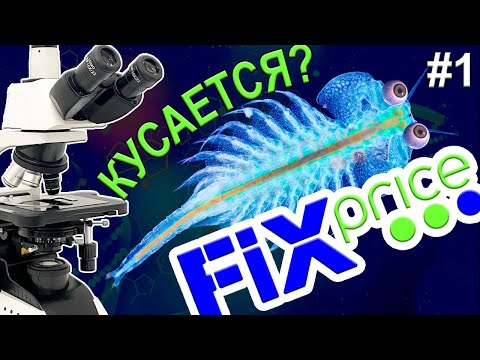 Видео: Зачем FixPrice продает это? ПИТОМЕЦ ЮРСКОГО ПЕРИОДА! #1