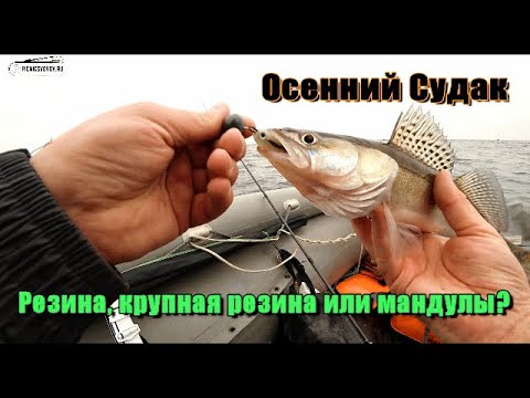 Видео: Судак в октябре. Много поклевок. Рыбалка на Финском заливе.