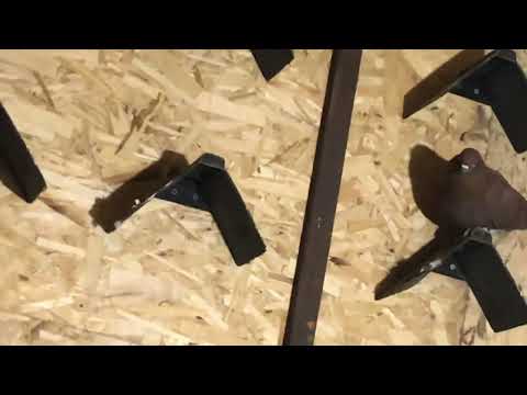 Видео: Пермские ижевские Голуби