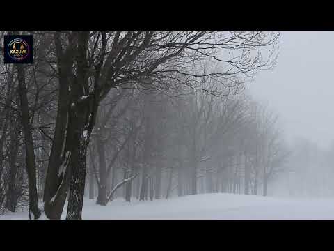 Видео: Цас /tsas/