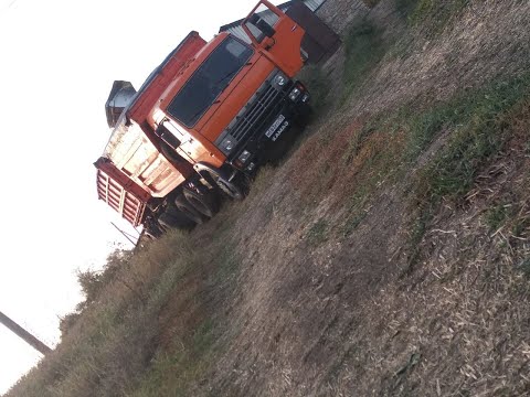 Видео: Первый рейс с прицепом . Перевозка ячменя . Первые ощущения)