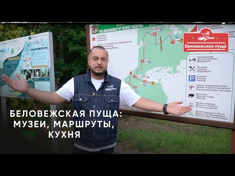 Видео: Дичь в Беловежской пуще.