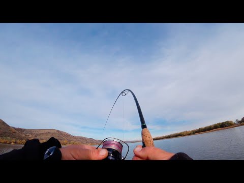 Видео: ВОТ ЭТО ДА!!! ПОДНЯЛ ЯКОРЬ, А ТАМ НАХОДКА! РЫБАЛКА НА СПИННИНГ