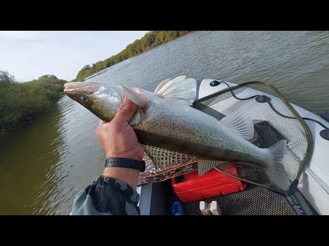 Видео: Рыбалка! Нура! В Сторону Ахмет-Аул! Судак на Плавуны!