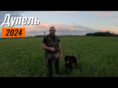 Видео: Охота с Дратхааром 2024 Дупель