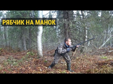Видео: ВСЕ РЯБЧИКИ НА МЕСТЕ. ПООХОТИЛСЯ С МАНКОМ И ДОБЫЛ ПАРУ ПЕТУШКОВ.#охота 