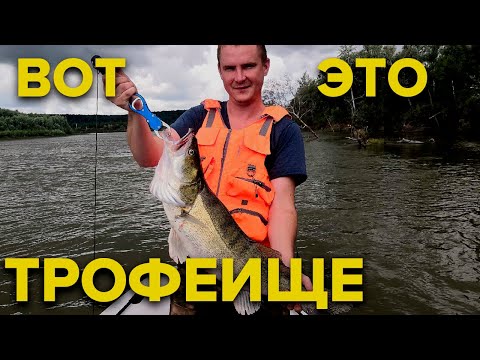 Видео: СУПЕР РЫБАЛКА! ШОКИРУЮЩИЕ ПОКЛЕВКИ И ПЕРВЫЕ ТРОФЕИ!!! рыбалка на щуку, окуня судака 2021