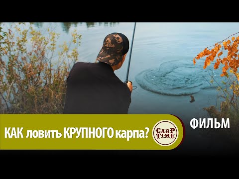 Видео: ⭐ Дилемма КАРПФИШИНГА: КАК и на ЧТО ловить ДИКОГО КРУПНОГО карпа ОСЕНЬЮ? Секреты МАЛЫХ озер! ФИЛЬМ