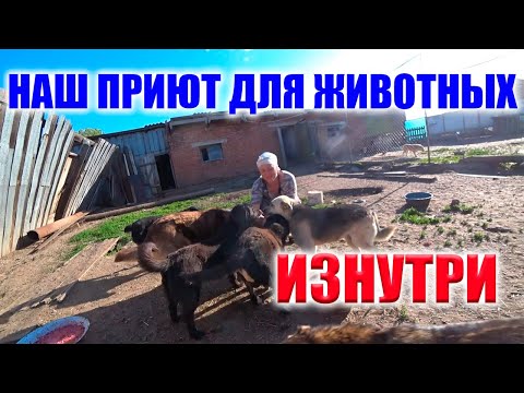 Видео: РЕДКИЕ КАДРЫ! ЧАСТЬ ПРИЮТА И ХВОСТИКИ КОТОРЫЕ ОБЫЧНО ОСТАЮТСЯ БЕЗ ВНИМАНИЯ!! СМОТРИМ!