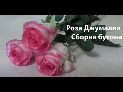 Видео: Реалистичная роза из фоамирана на стебле, без молдов. Обработка и тонировка лепестков