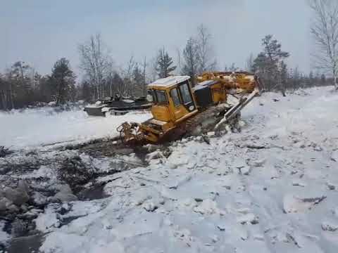 Видео: Болотоходный бульдозер Б10МБ ЧТЗ на зимнике