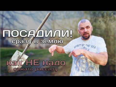 Видео: Первые Посадки / Сажаем Рассаду в Грунт / Участок с нуля