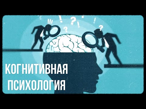 Видео: Когнитивная психология