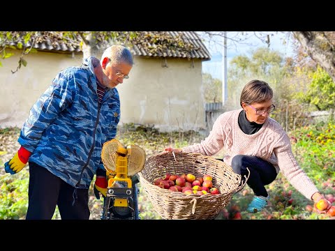 Видео: КУПИЛИ ДОМ дом на ГЛУХОМ ХУТОРЕ! Боремся с ДРОВАМИ и собираем УРОЖАЙ яблок!