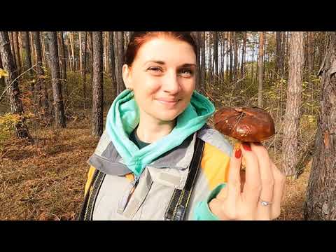 Видео: Это была чудесная прогулка!