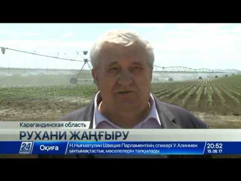 Видео: Село Шахтер Карагандинской области претендует на звание самого образцового