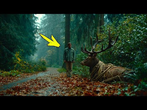 Видео: Лесник вышел на тропу и замер! В кустах лежал олень, связанный верёвками…