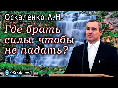 Видео: Оскаленко А.Н. Где брать силы, чтобы не падать?