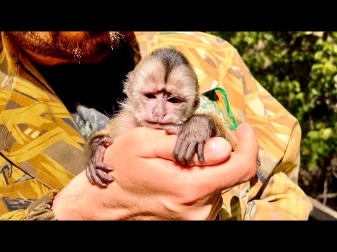 Видео: Мы пришли к РОДИТЕЛЯМ Финика! Малыш ИСПУГАЛСЯ и стал прятаться…
