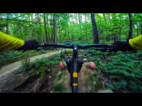 Видео: Бутово Чесс, растрясло на Рысьей!