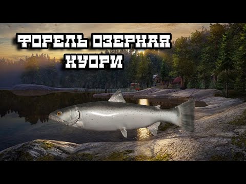 Видео: РР4   Поход на Куори за трофейной Форелью!!!!!!