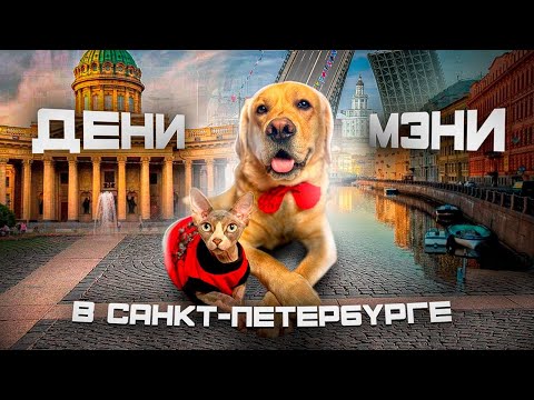 Видео: Первая фан-встреча Дени и Мэни в Питере🥳 Пришли тысячи людей😱 Заселились в космический номер🪐