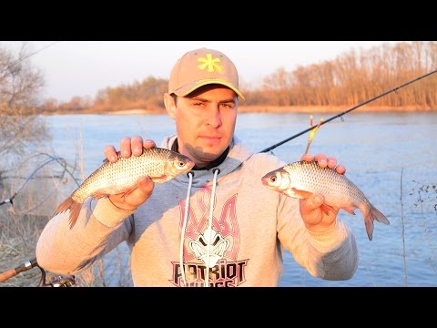 Видео: Ловля плотвы, густеры на фидер весной. Река Десна в апреле