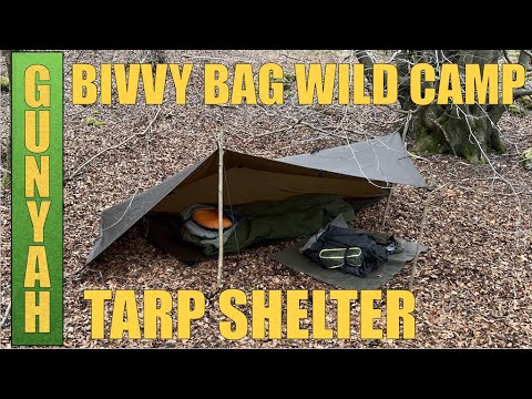 Видео: ДИКИЙ ЛАГЕРЬ ПОД БРЕЗЕРНОВЫМ НАВЕСОМ | ПРИГОТОВЛЕНИЕ СТЕЙКА НА ОТКРЫТОМ КОСТРЕ | КЕМПИНГ НА ОТКРЫ...