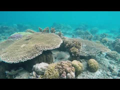 Видео: Спокойная Музыка Для Медитации И Снятия Стресса  Meditation Music , Nature Sounds