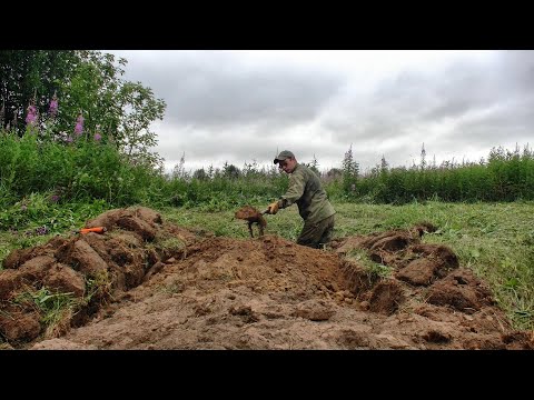 Видео: Шурф, как лотерея... #485