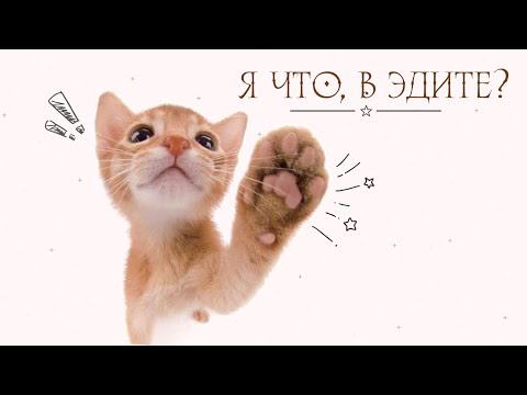 Видео: Ахн плейлист,чтобы чувствовать себя в эдите #5